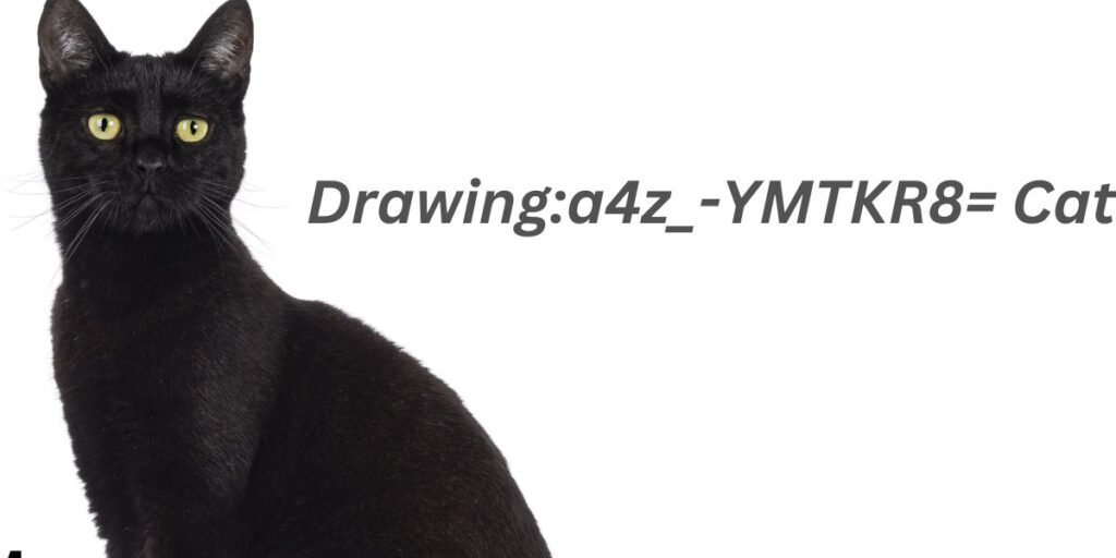 Drawing:a4z_-YMTKR8= Cat